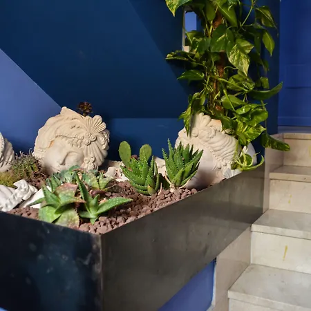 Bed and breakfast Zioli Noto